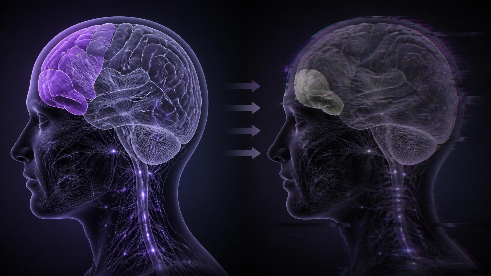 Anatomia da Dívida